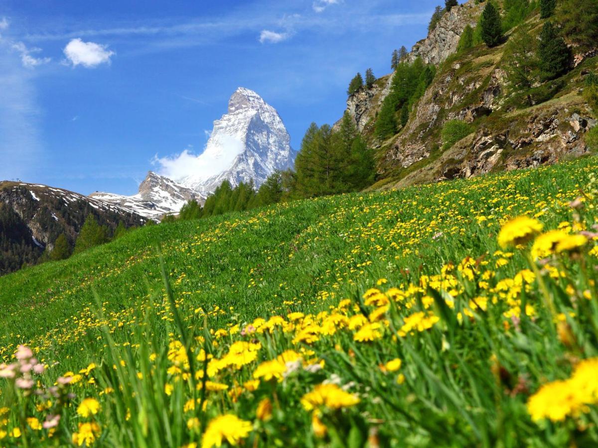 Apartment Bellevue-6 By Interhome Zermatt Exterior foto